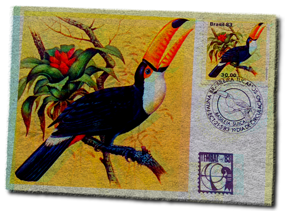 português brasileiro